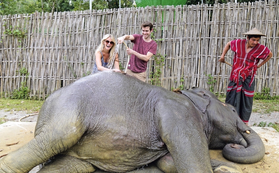 Vei putea mângâia elefanți și alte animale ce trăiesc în Parcul National Khao 