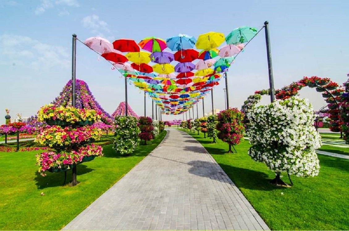 Alee cu flori și umbreluțe din Dubai Miracle Garden